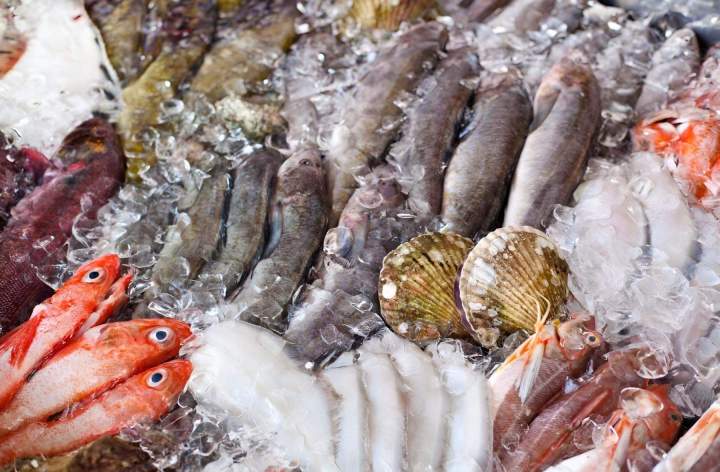 Venez dans notre poissonnerie pour acheter des poissons en gros, que vous soyez un traiteur, un restaurateur, un poissonnier ou un particulier.