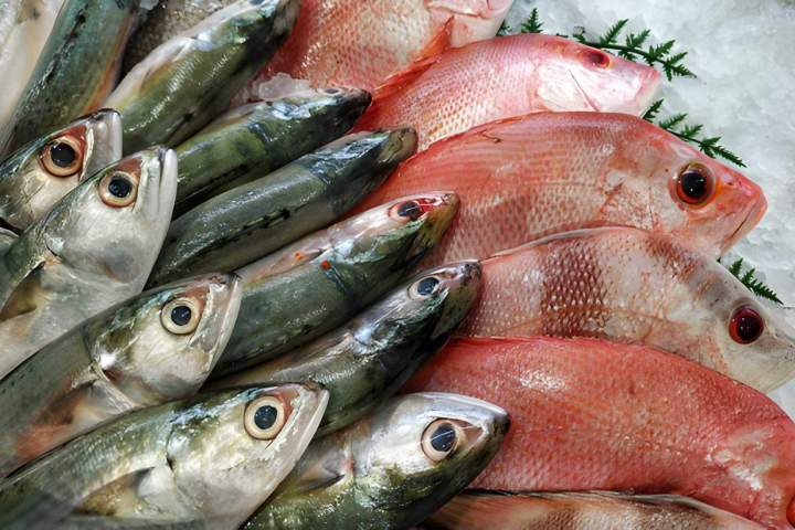 Vente de poissons locaux La Rivière-Saint-Sauveur