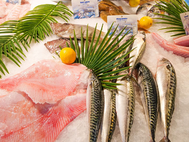 Vente de poissons La Rivière-Saint-Sauveur